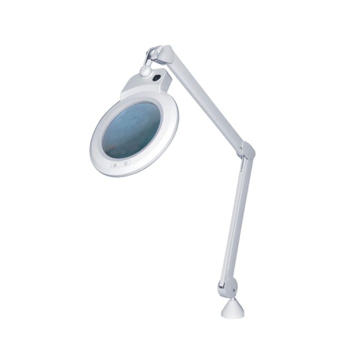 Chameleon Magnifier Lamp